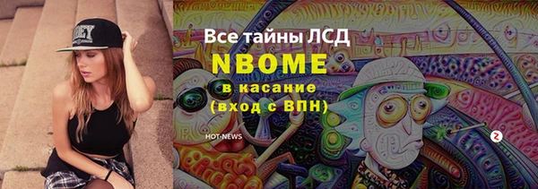 ешки Алексин