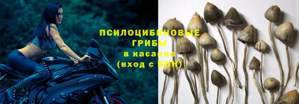 Альфа ПВП Абдулино