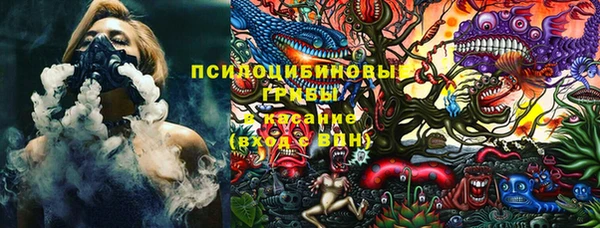 ешки Алексин